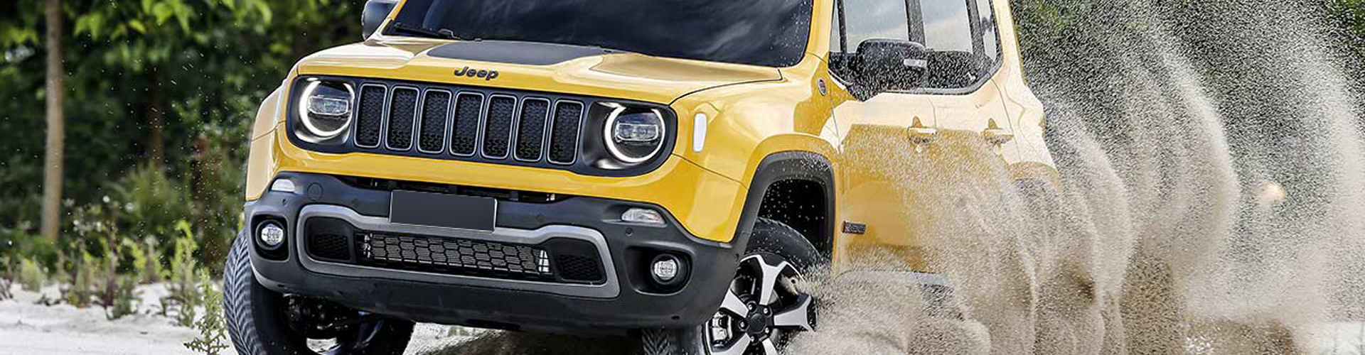 Novi 2019 Jeep® Renegade